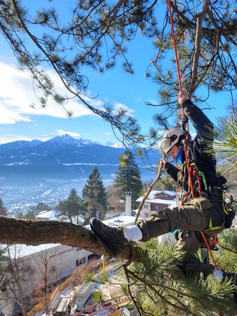 img-20260114-wa00068447625517733140457