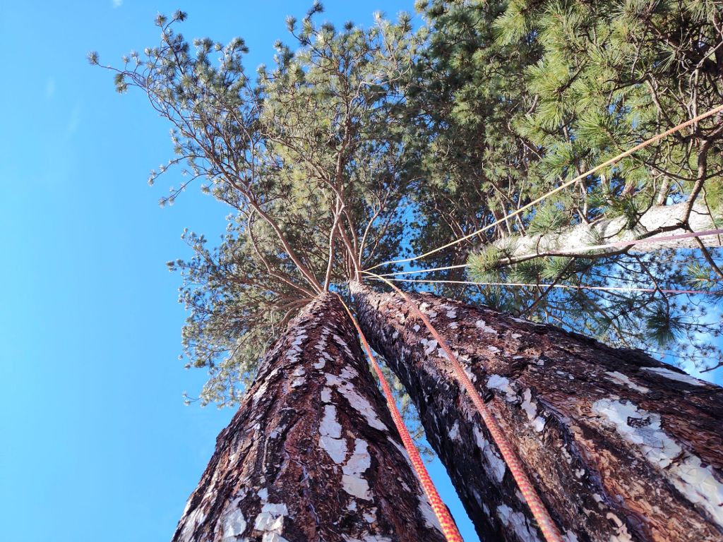 img_20260114_1205438681318949187567867010