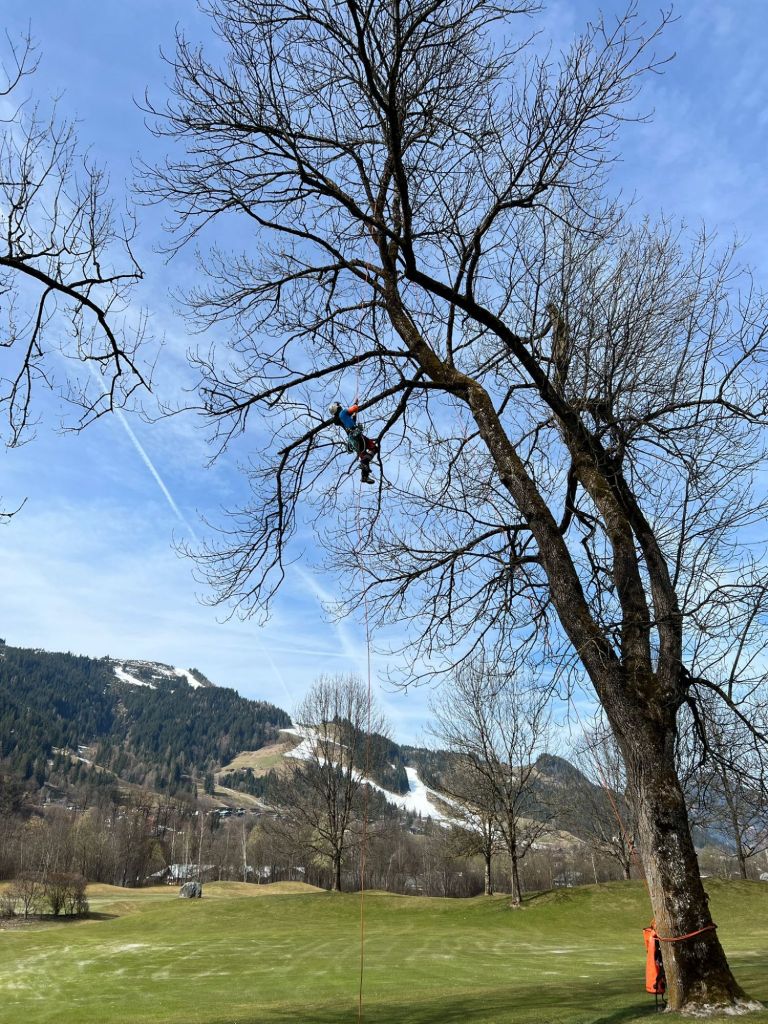 img-20260325-wa00105275577030416081468