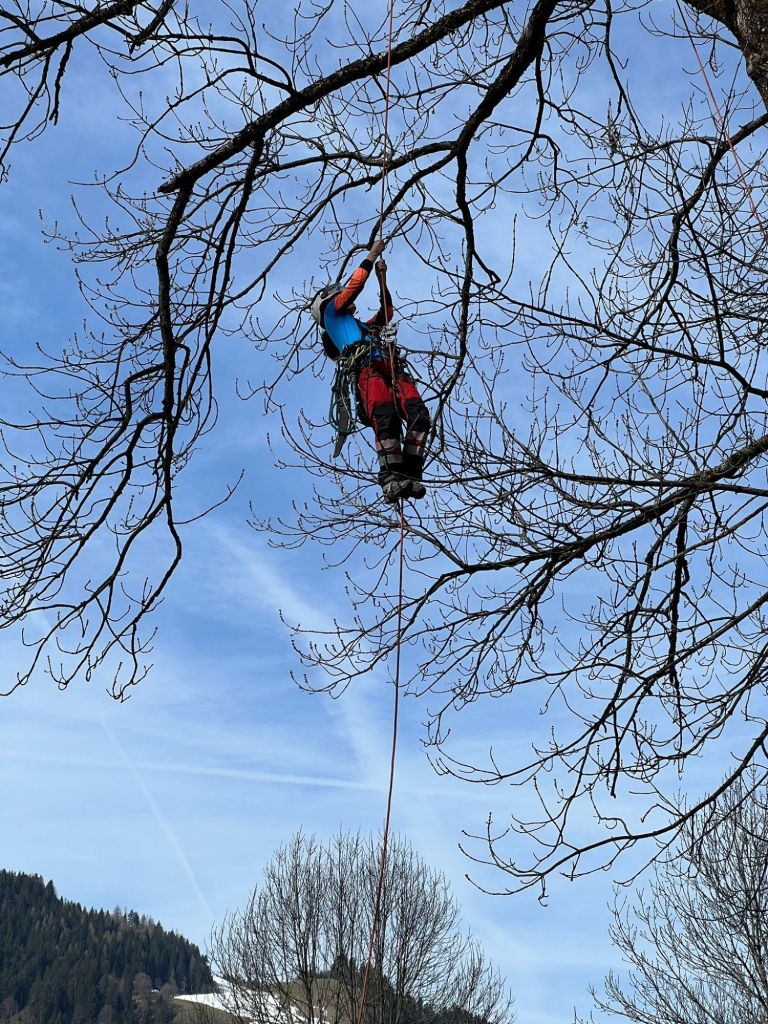 img-20260325-wa00124982744970121009574