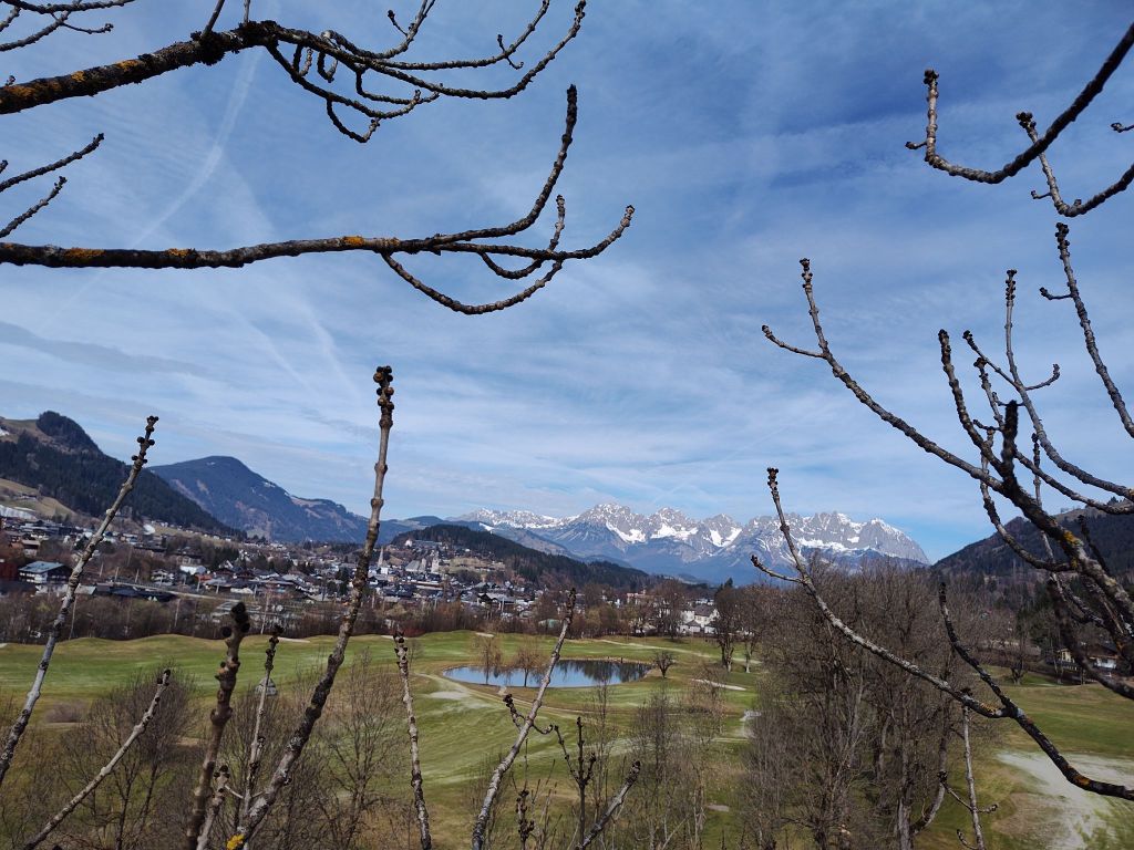 img_20260325_1055037565235909562276196855