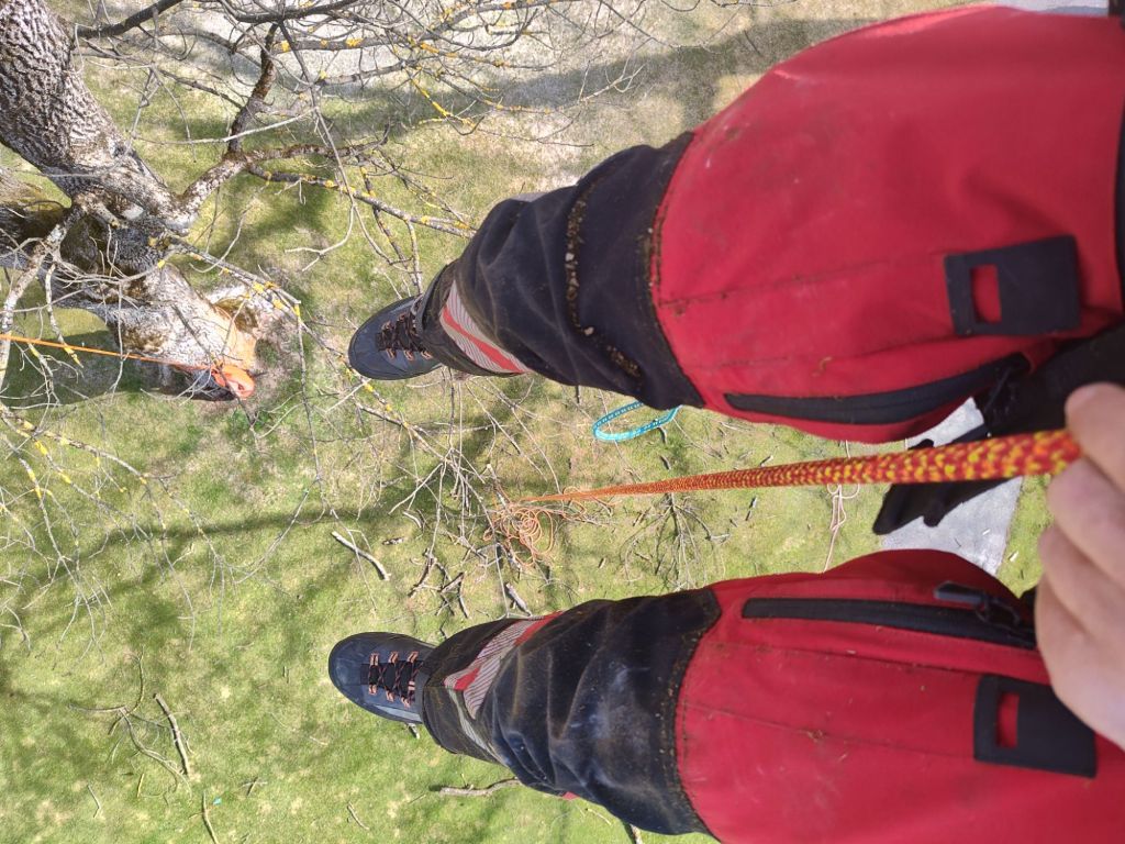 img_20260325_112423434_hdr8671110358202311393